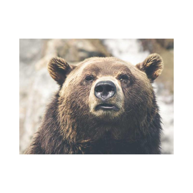 Ergonomic Aluminum Table fr-FR